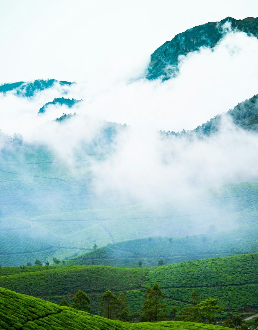 Clouds drifting over tea-covered hills